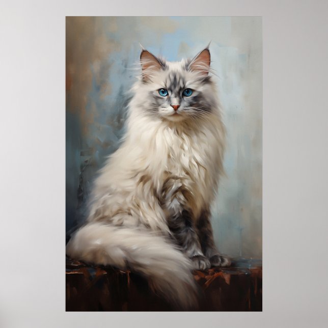 Ragdoll Katzenportrait Poster (Vorne)