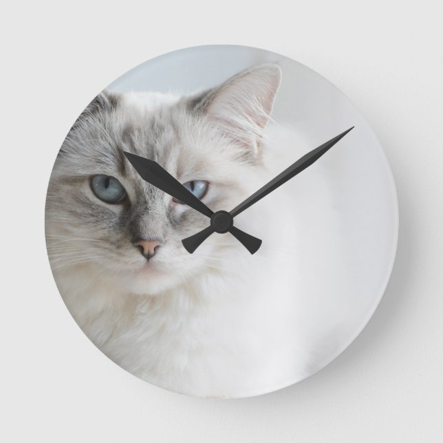 ragdoll Katzenuhr Runde Wanduhr (Vorderseite)