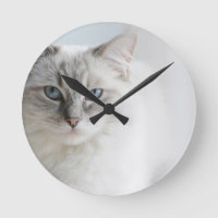 ragdoll Katzenuhr