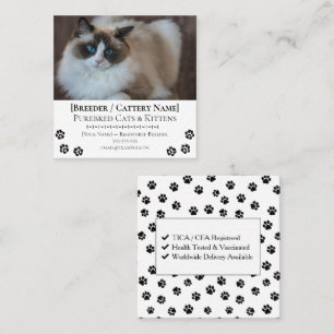 Ragdoll Katzenzucht Anpassbare Katzenzüchter Quadratische Visitenkarte