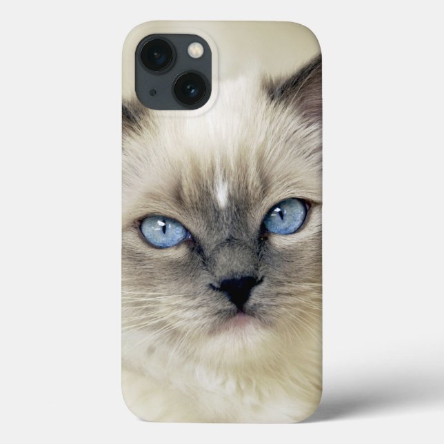 Ragdoll Kitten Case-Mate iPhone Hülle (Rückseite)