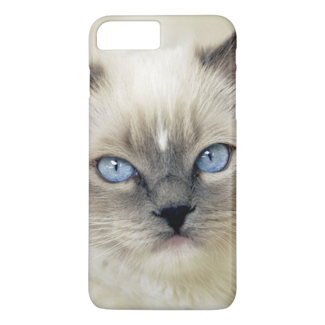 Ragdoll Kitten Case-Mate iPhone Hülle (Rückseite)