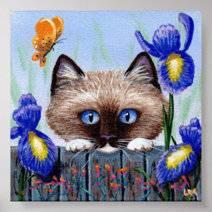 Ragdoll Kitten Cat Siamese Burmese Poster