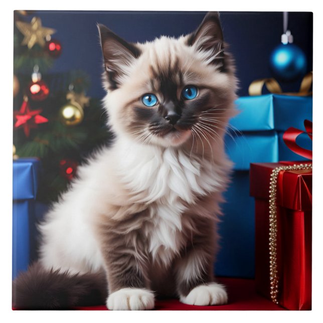 Ragdoll Kitten Christmas Present Fliese (Vorderseite)