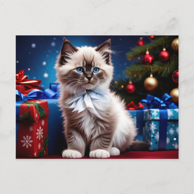 Ragdoll Kitten Christmas Present Postkarte (Vorderseite)