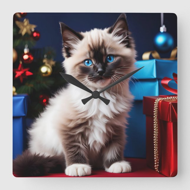 Ragdoll Kitten Christmas Present Quadratische Wanduhr (Vorderseite)