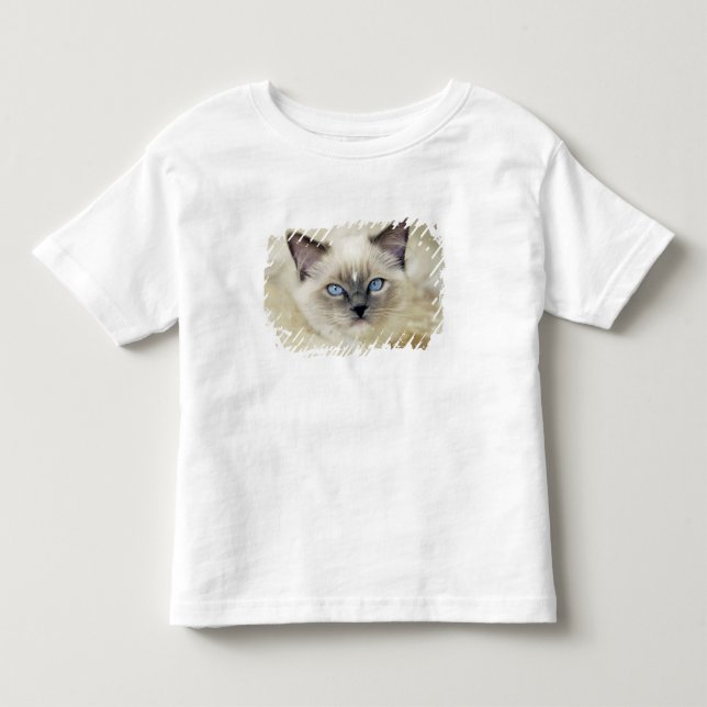 Ragdoll Kitten Kleinkind T-shirt (Vorderseite)