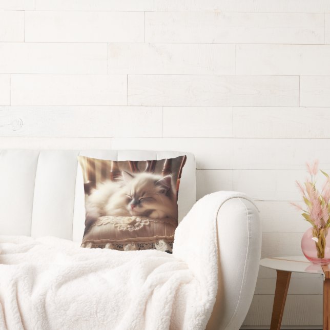 Ragdoll Kitten Schlafen auf einem Kissen (Liege)