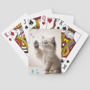 Ragdoll Kitten spielen mit Blasen Spielkarten