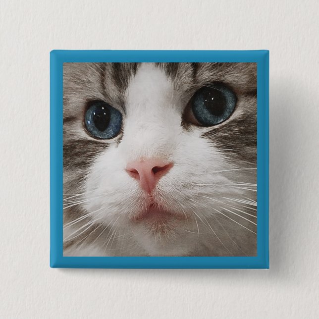 Ragdoll Miezekatze Button (Vorderseite)