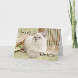 Ragdoll mit giftbags Geburtskarte Karte