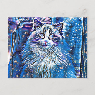 Ragdoll niedliche blaue Augen Postkarte