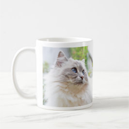 Ragdoll niedliche Katzen-Tasse Tasse