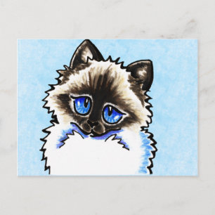 Ragdoll Ragamuffin Illustriert Postkarte