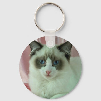 Ragdoll, Siegel zweifarbig Schlüsselanhänger