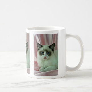 Ragdoll, Siegel zweifarbig Tasse