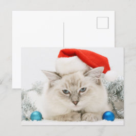 Ragdoll Wearing-Weihnachtsmannmütze Postkarte