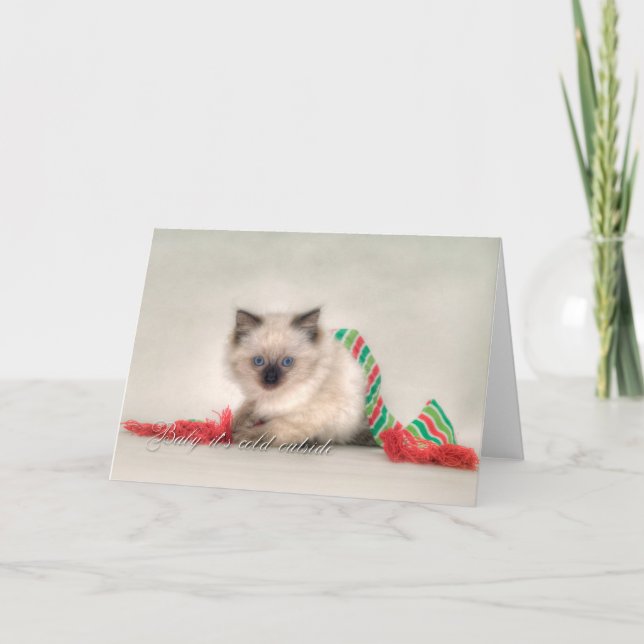 Ragdoll Weihnachtskarte Feiertagskarte (Vorderseite)