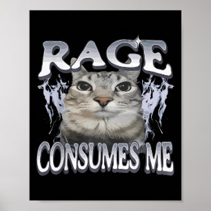 Rage verbraucht mich lustig Albern Staring Cat Mem Poster