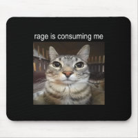 Rage verzehrt mich Albern, wenn ich Cat Meme stehe