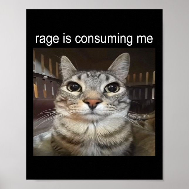 Rage verzehrt mich Albern, wenn ich Cat Meme stehe Poster (Vorne)