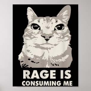 Rage verzehrt mich wütend Cat Meme Sarcasm Funny Poster
