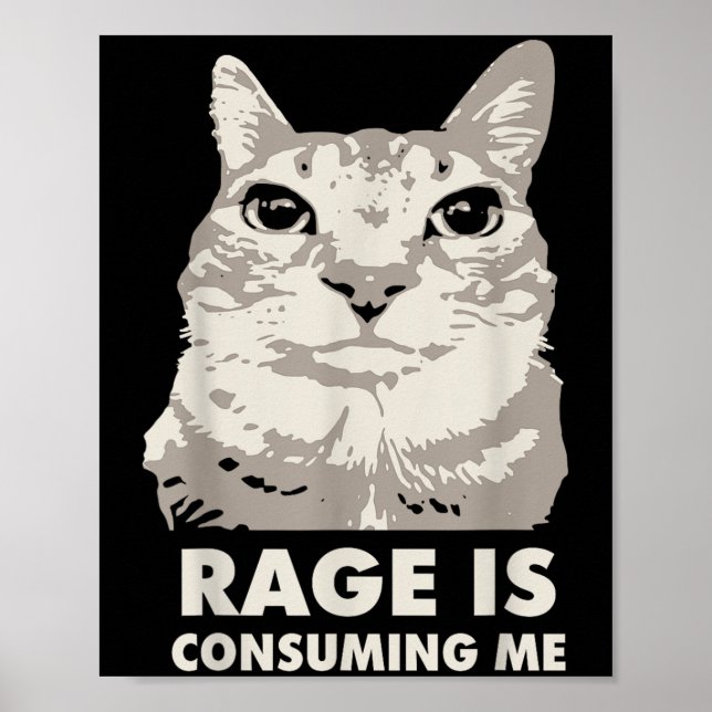 Rage verzehrt mich wütend Cat Meme Sarcasm Funny Poster (Vorne)