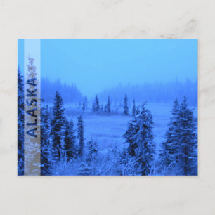 Rahmen für dein Alaska-Urlaubsfoto Postkarte