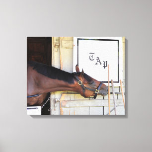 Rahmenplan Leinwanddruck