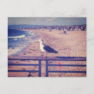 Rail-Vogel Postkarte