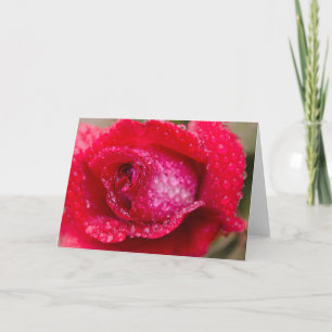 Rain auf Rote Rose Blank Grußkarte Karte