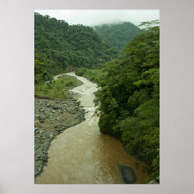Rain Forest River Poster (Vorne)
