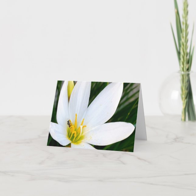 Rain Lily Bug Deux Dankeskarte (Vorderseite)