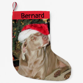 Rain Niedlich Weimaraner Hund - Personalisiert Kleiner Weihnachtsstrumpf