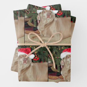 Rain the Weimaraner Hunde Weihnachtswrapping Papie Geschenkpapier Set