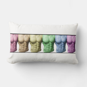Rainbow Abs American MoJo Pillows Lendenkissen