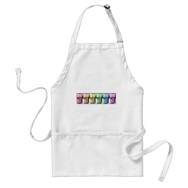 Rainbow Abs Schürze (Vorne)