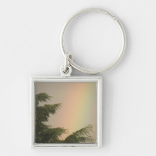 Rainbow and Trees Schlüsselanhänger