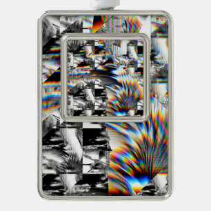 Rainbow Assault Weihnachtsschmuck Rahmen-Ornament Silber