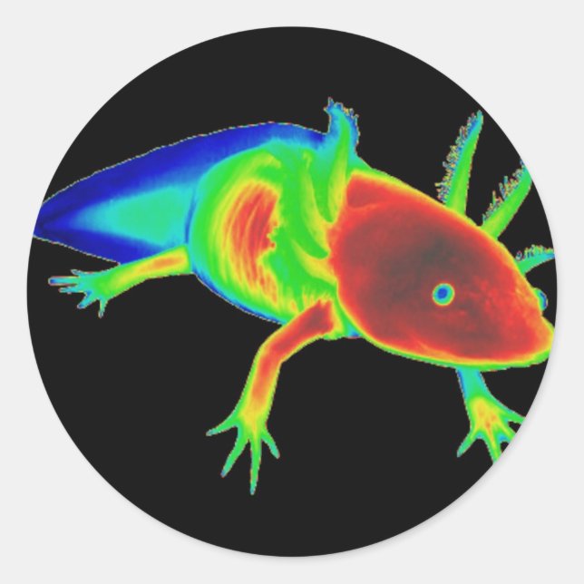 Rainbow Axolotl Stickers (Vorderseite)