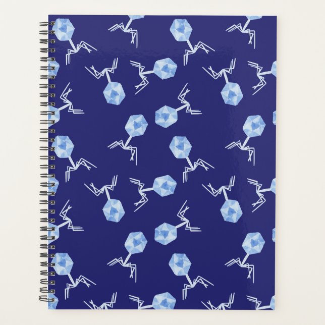 Rainbow Bakteriophage Planer (Vorderseite)