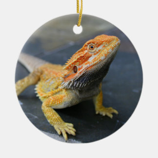Rainbow Bearded Dragon Keramik Ornament