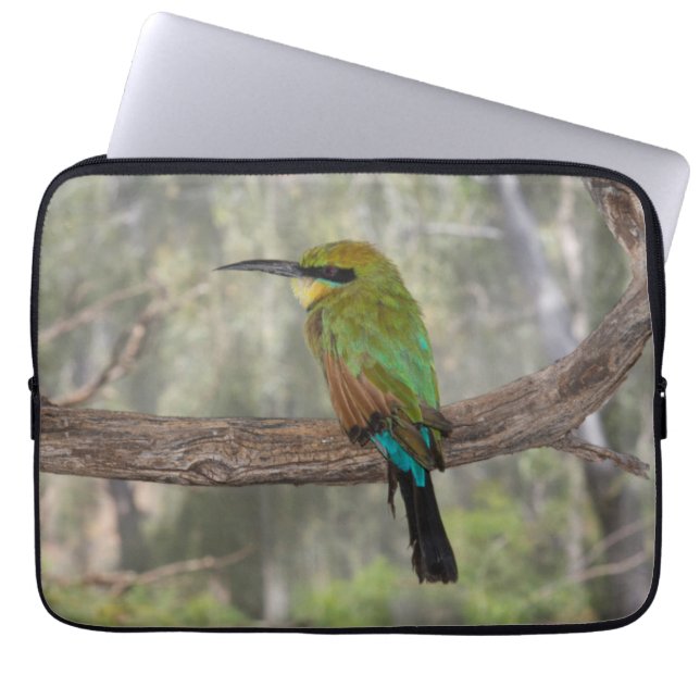 Rainbow-Bienenfresser, Australien Laptopschutzhülle (Vorderseite)
