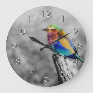 Rainbow Bird Große Wanduhr