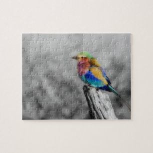 Rainbow Bird Puzzle