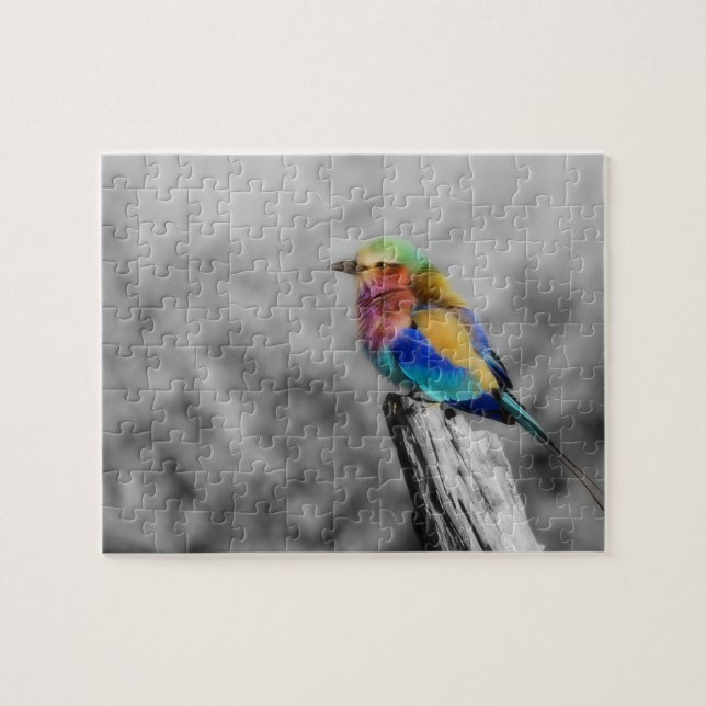 Rainbow Bird Puzzle (Horizontal)