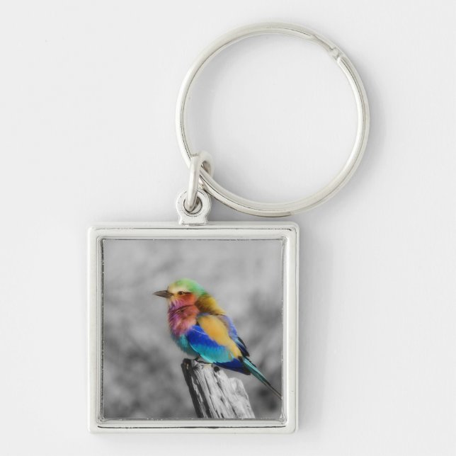Rainbow Bird Schlüsselanhänger (Vorne)