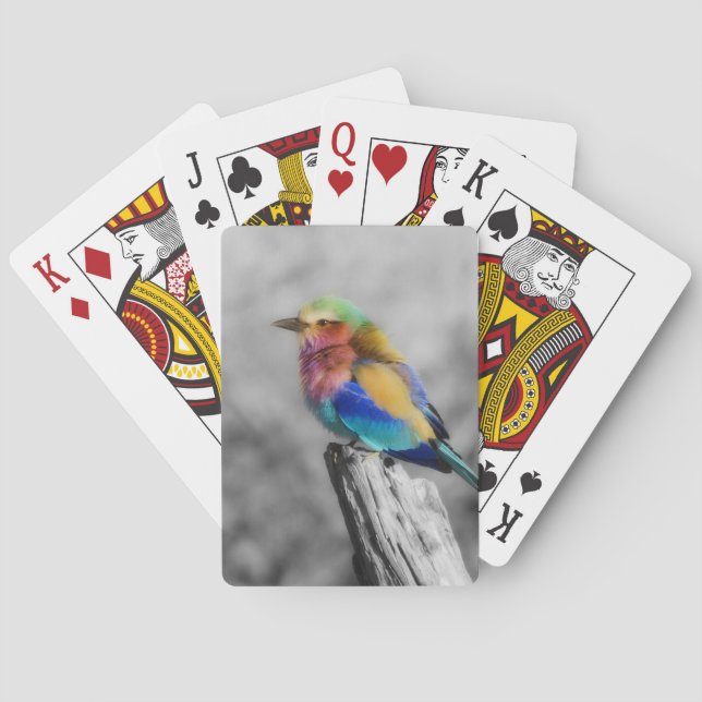 Rainbow Bird Spielkarten (Rückseite)