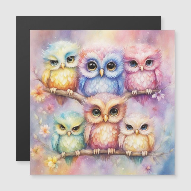 Rainbow Birds Owls 3 Magnetkarte (Vorne/Hinten)