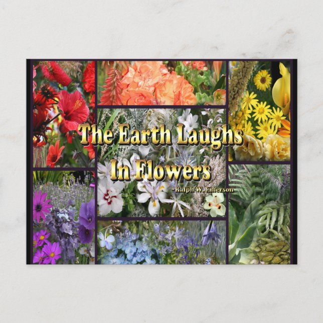 Rainbow Blume - Earth Laughs von Emerson Postkarte (Vorderseite)